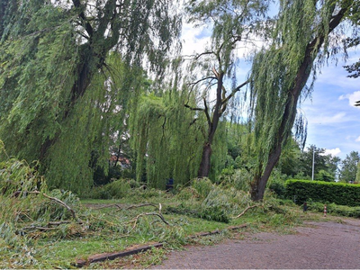 NOC-Poly- Stormschade in de wijk Overwhere , Lepelaarpark